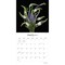 In the Garden | 2024 12 x 24 Inch Monthly Square Wall Calendar | Brush Dance | Flowers Plants Floral Photography
